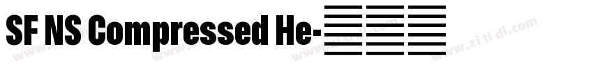 SF NS Compressed He字体转换